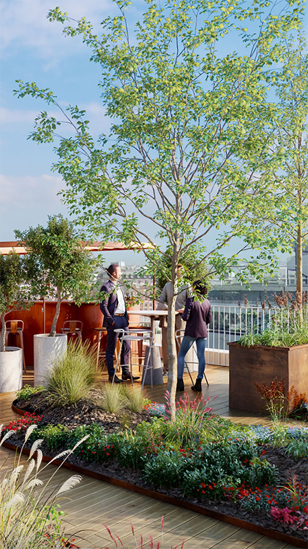 Vue panoramique du rooftop R+8